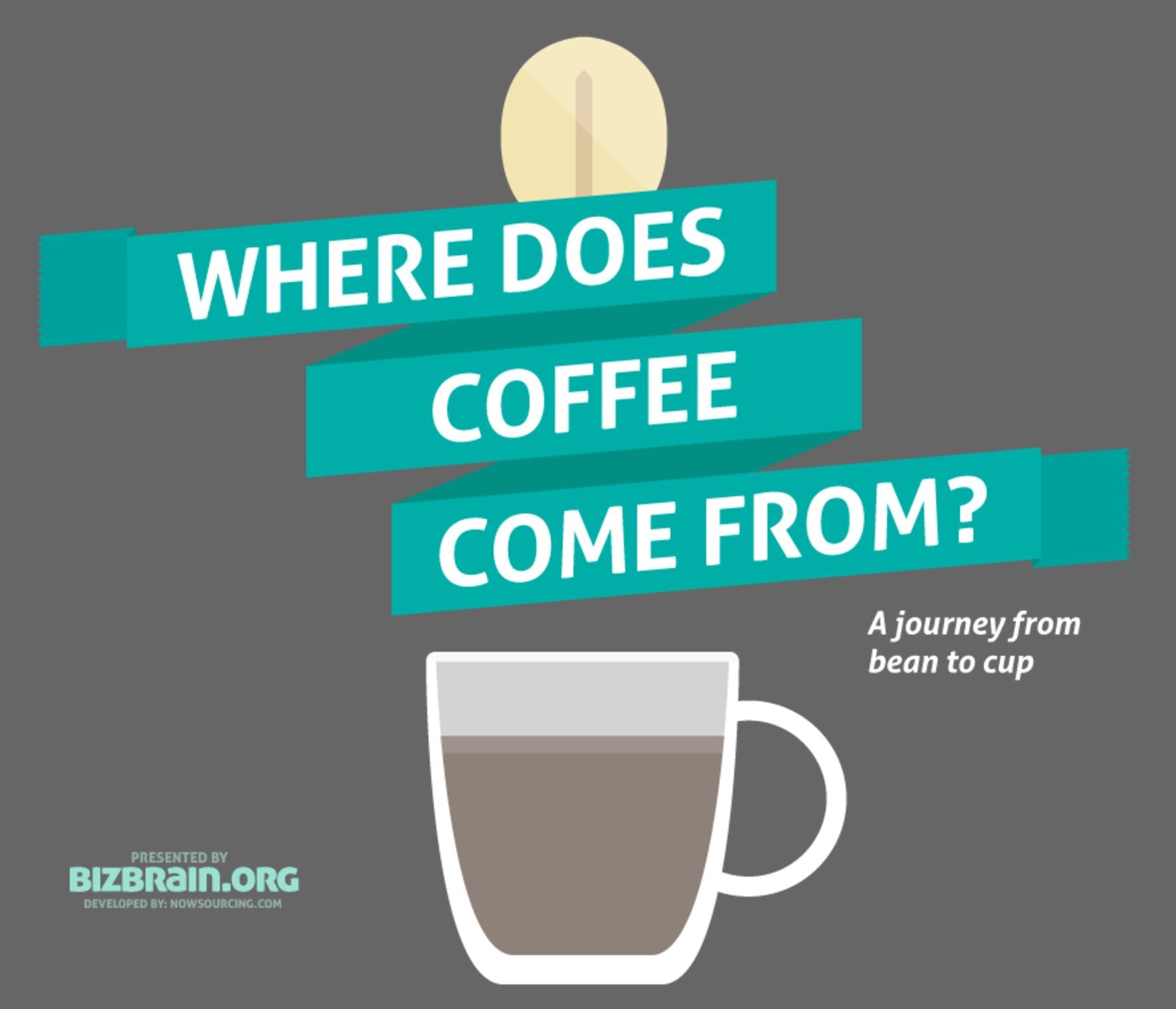 WHERE DOES COFFEE COME FROM ?