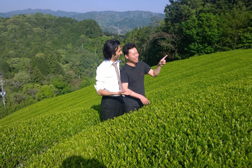 Kyoto Oolong 2019 | Single Batch Tea