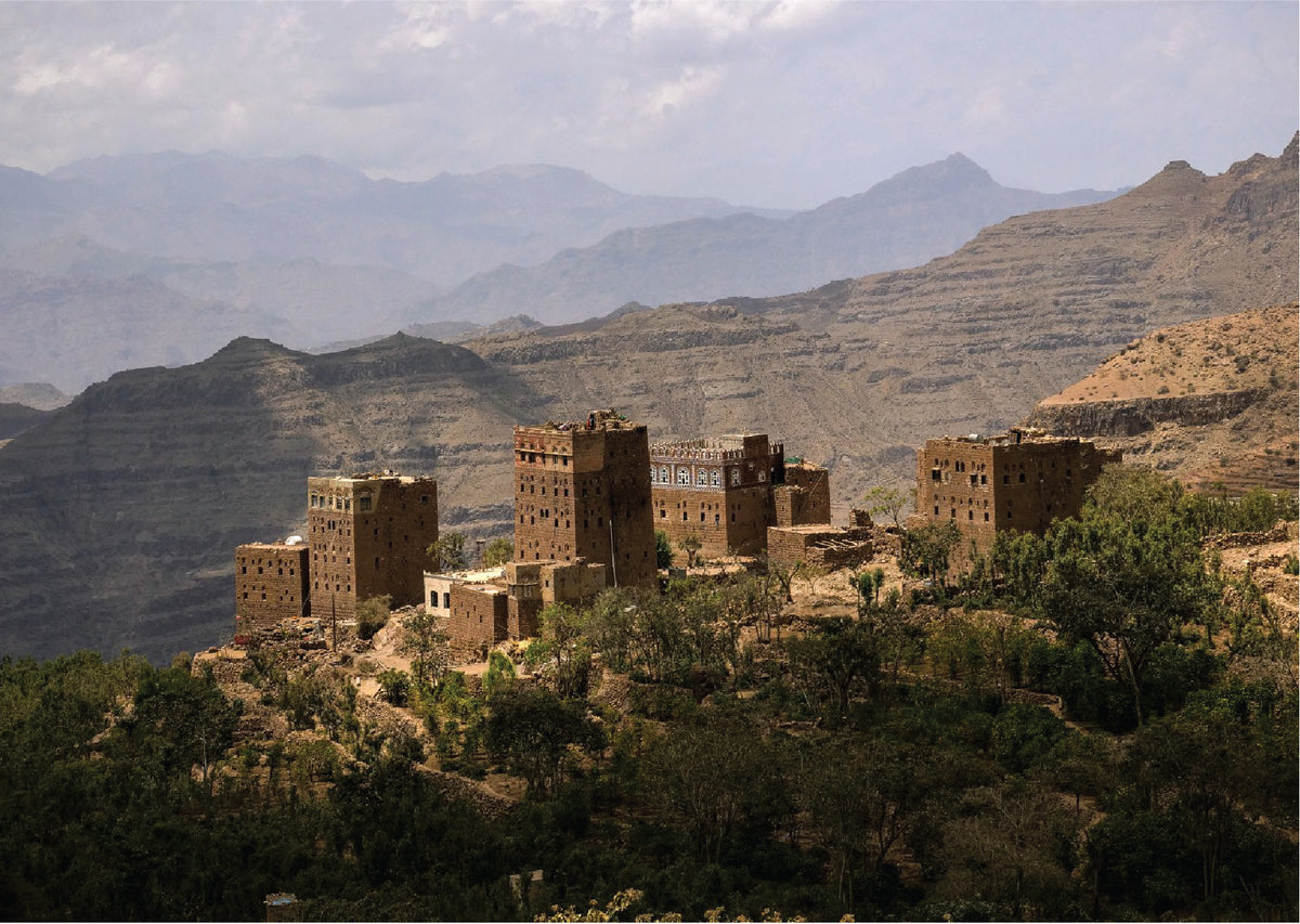 Ali Subaih - Hayma - Yemen- Filter Coffee