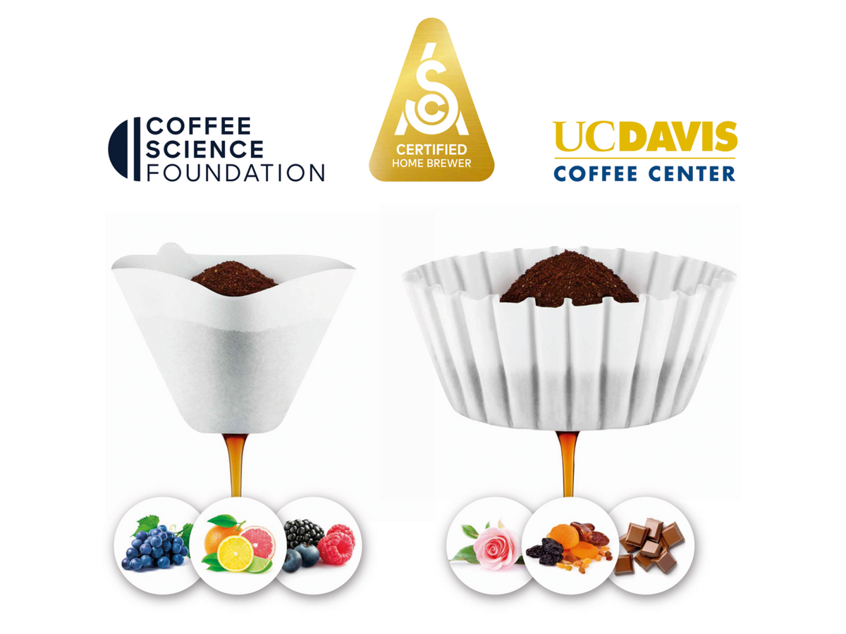 The Luxe Precision Brewer Thermal