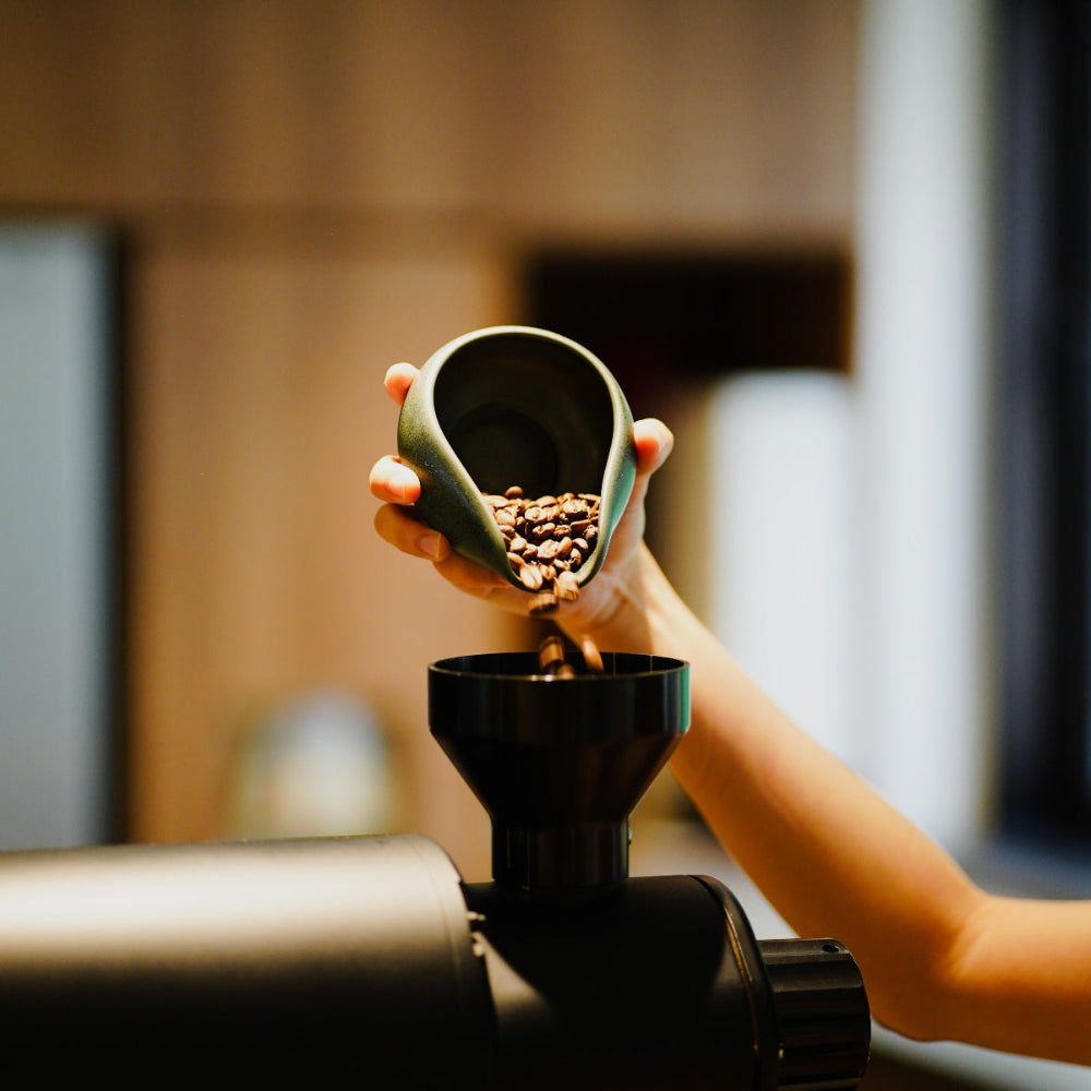 Set of 2 Coffee Dosing Trays