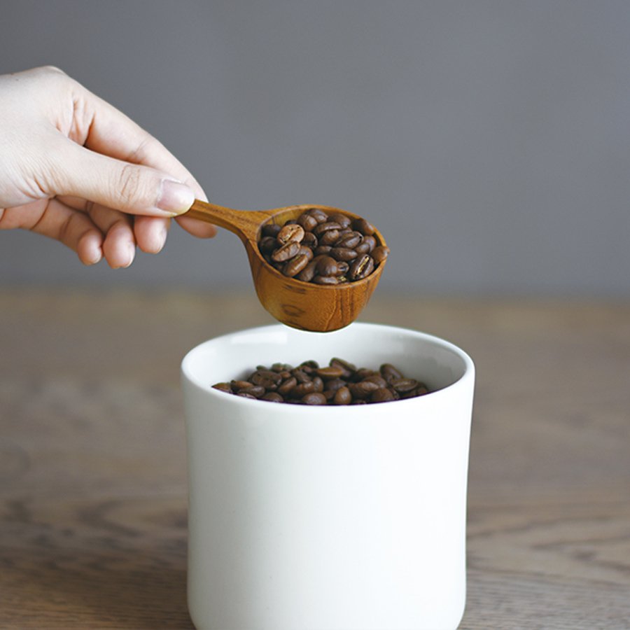 Kinto SCS Coffee Measuring Spoon - Caffeine Lab