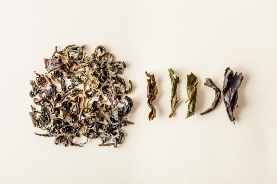 Kyoto Oolong 2019 | Single Batch Tea - Caffeine Lab