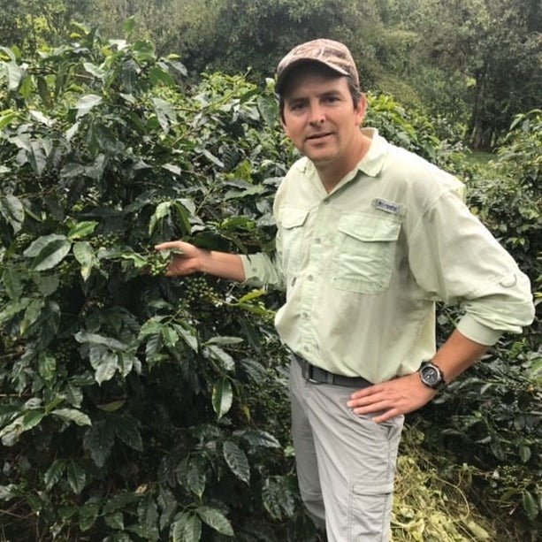 San Agustin Sidra Ecuador - Filter Coffee - Caffeine Lab